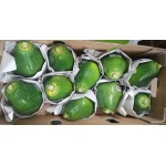 HAWAIIAN PAPAYA-4KG/8-10PCS